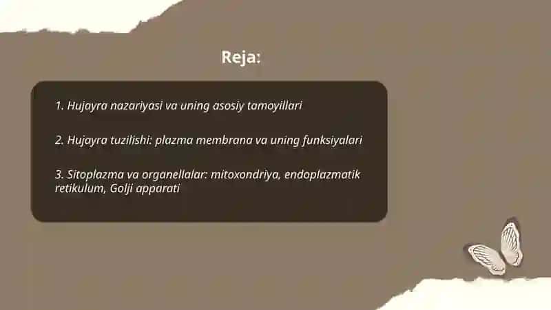 Hujayra nazariya hujayra tuzilishi hayvon va odam xromasomalar o'rtasida morfofunksional xarakteristikasi 2