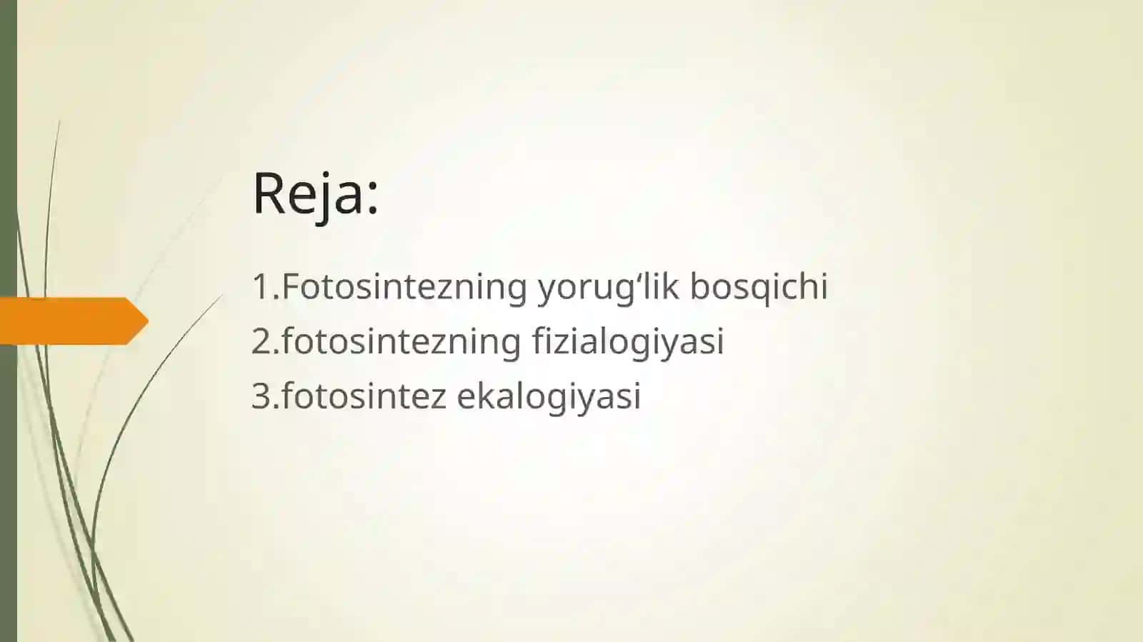 Fotosintezning yorugʻlik bosqichi 2
