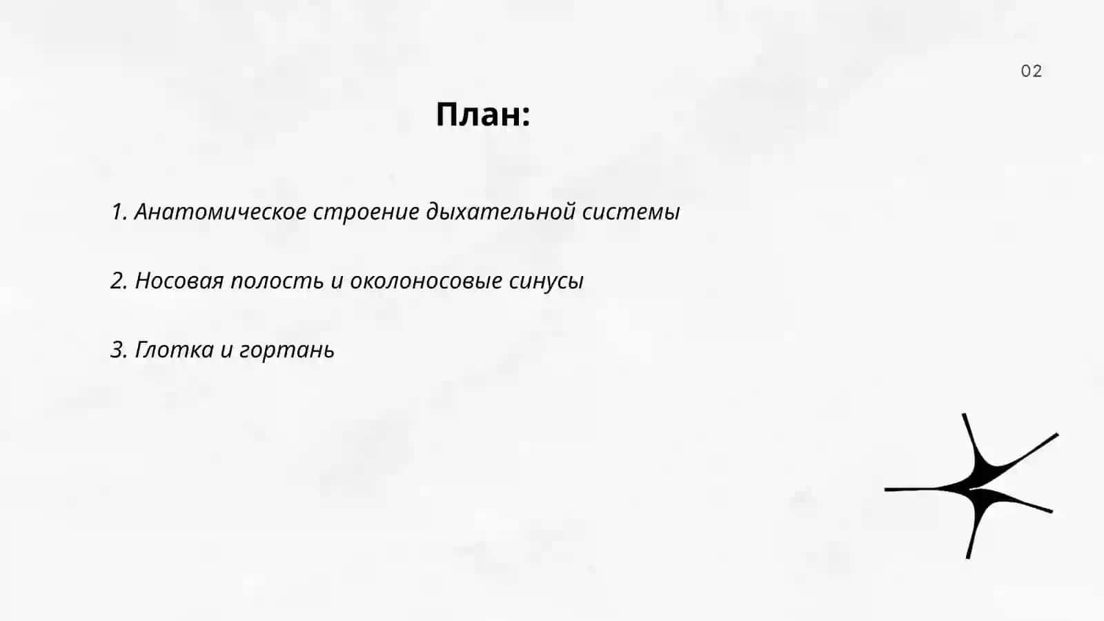 Дыхательная система 2