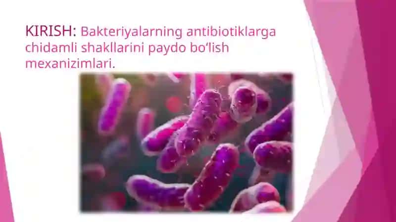 Mikrobiologiya fanidan darslik 2