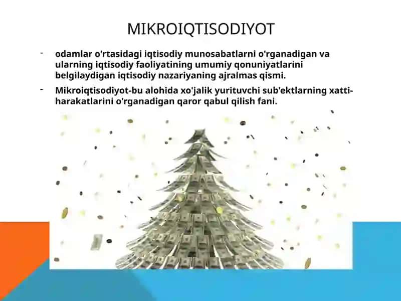 MIKROIQTISODIYOT VA MAKROIQTISODIYOT NIMASI BILAN FARQ QILADI 2