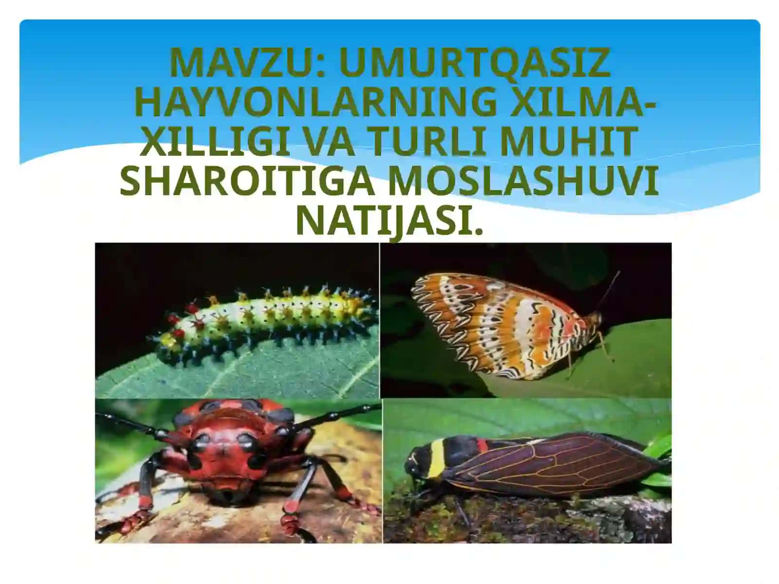 UMURTQASIZHAYVONLARNING XILMA-XILLIGI VA TURLI MUHIT SHAROITIGA MOSLASHUVINATIJASI 2