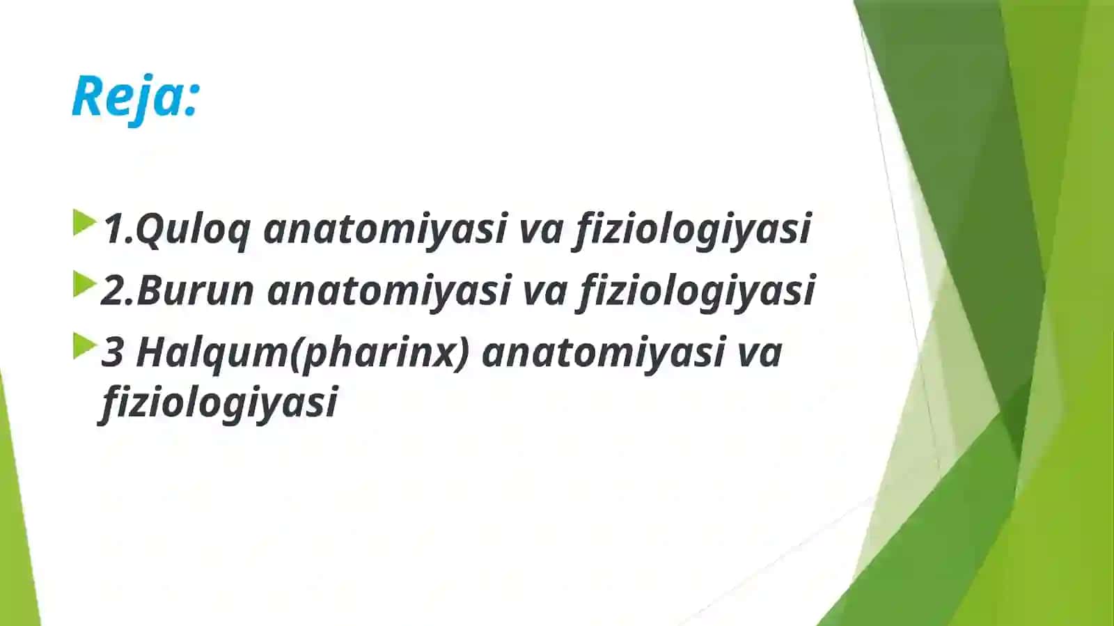 Quloq, burun, tomoq anatomiyasi va fiziologiyasi 2