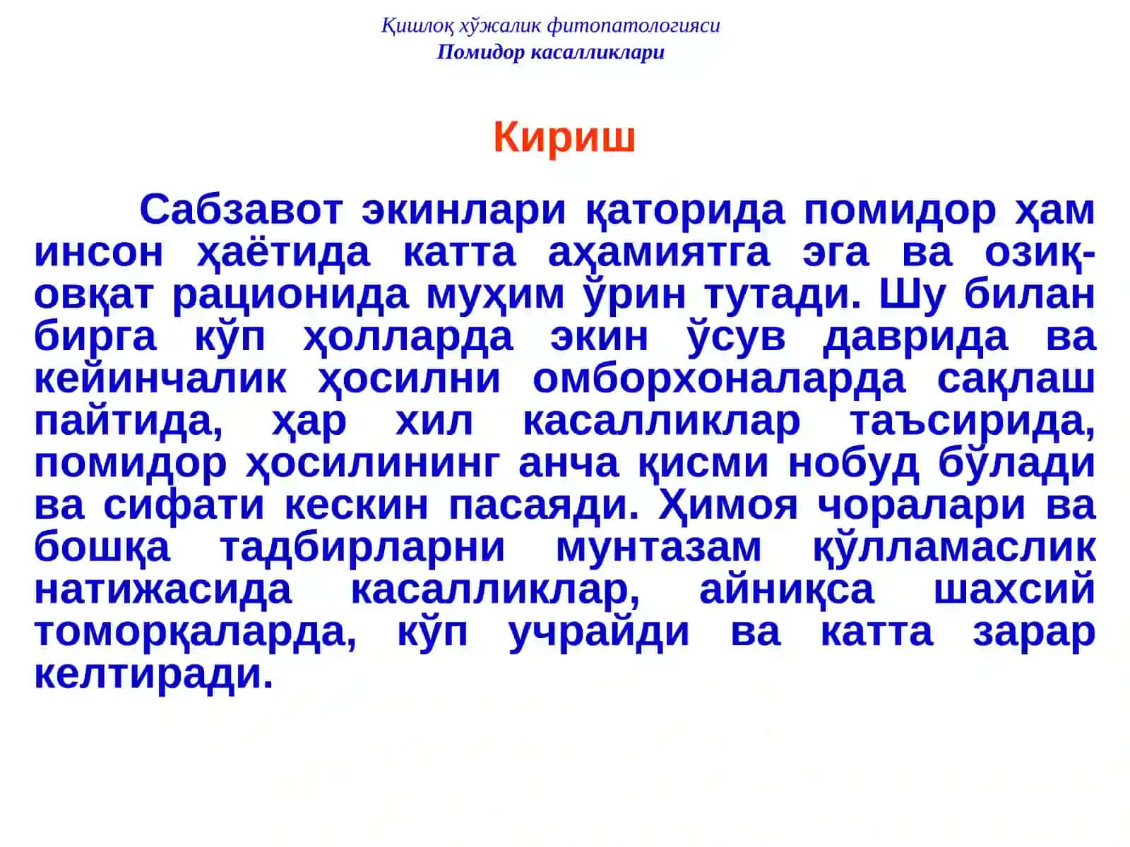 ПОМИДОР КАСАЛЛИКЛАРИ ВА УЛАРГА ҚАРШИ КУРАШ ЧОРАЛАРИ 2