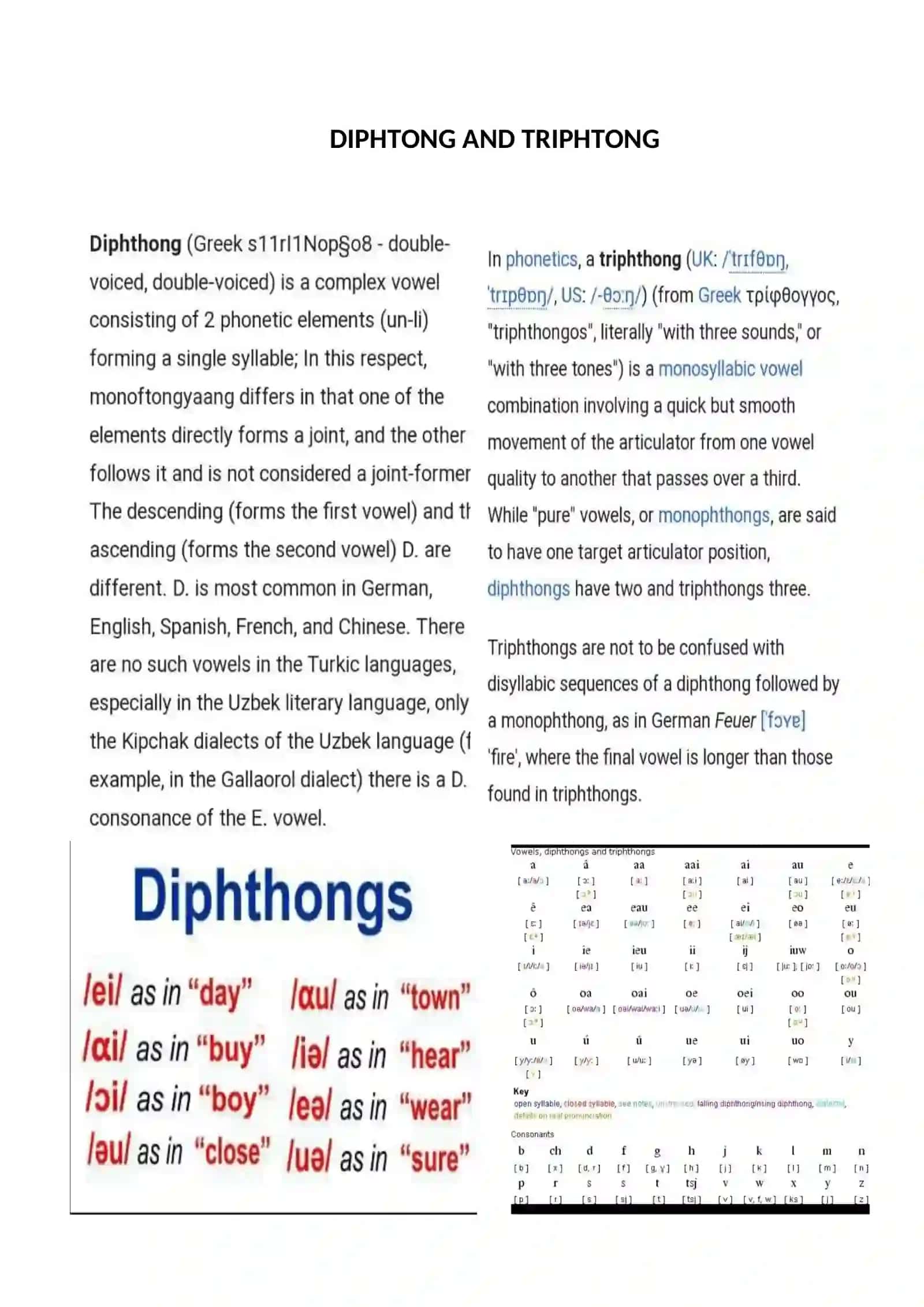 Speech Organs 2