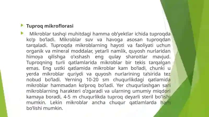 Tuproq mikroflorasi 2