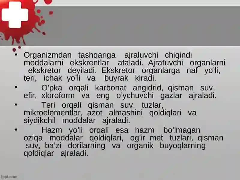 Ayiruv sistemasi, buyrak fiziologiyasi 2