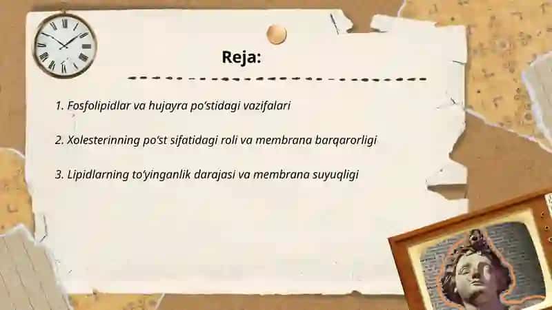 Hujayra poʻstining kimyoviy tarkibi ahamiyati 2