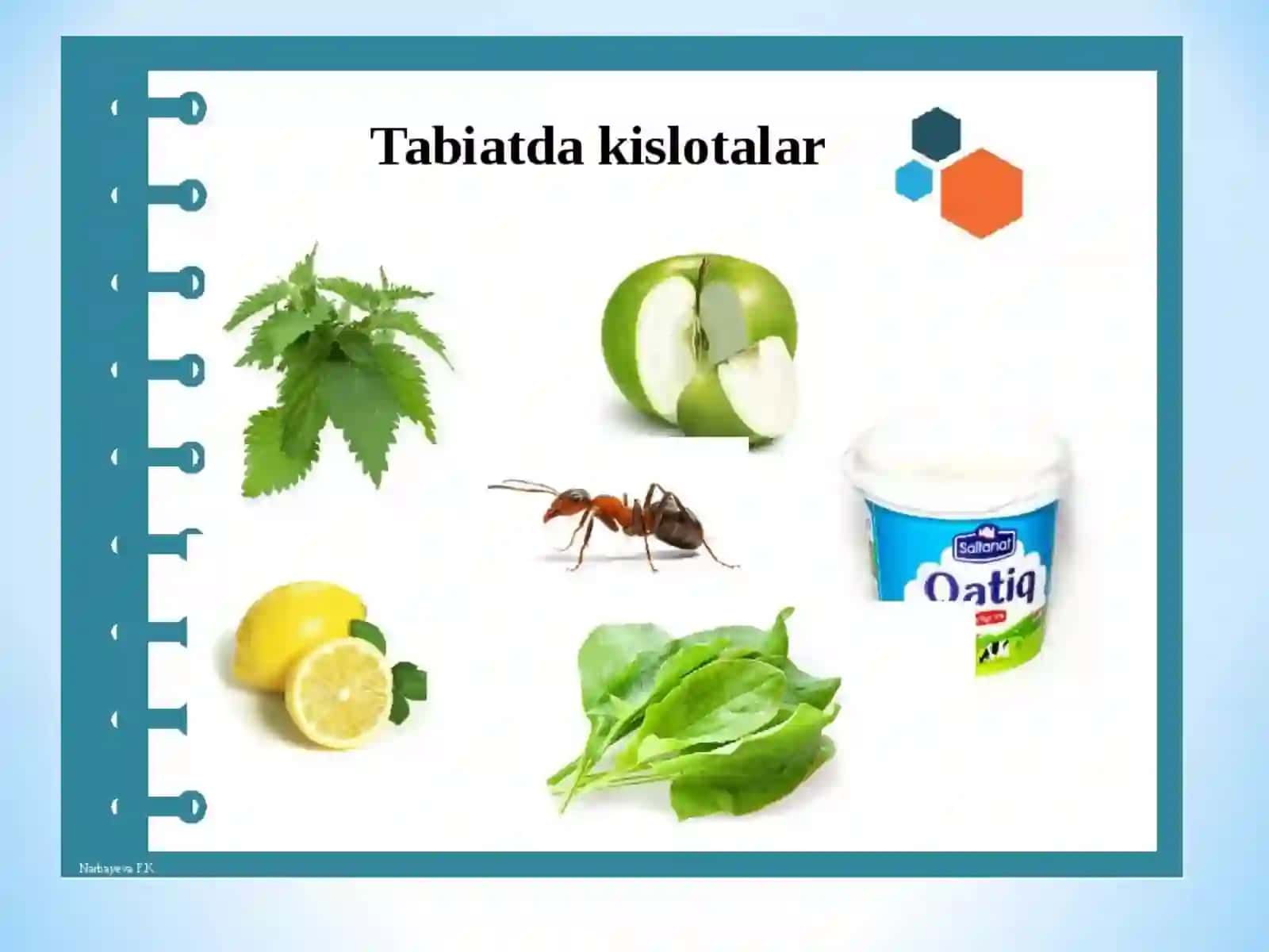 Alkaloidvaglikozidlar. Nikotinvaanabazinlarnixalqxo'jaligidainsektitsidsifatidaishlatilishi 2