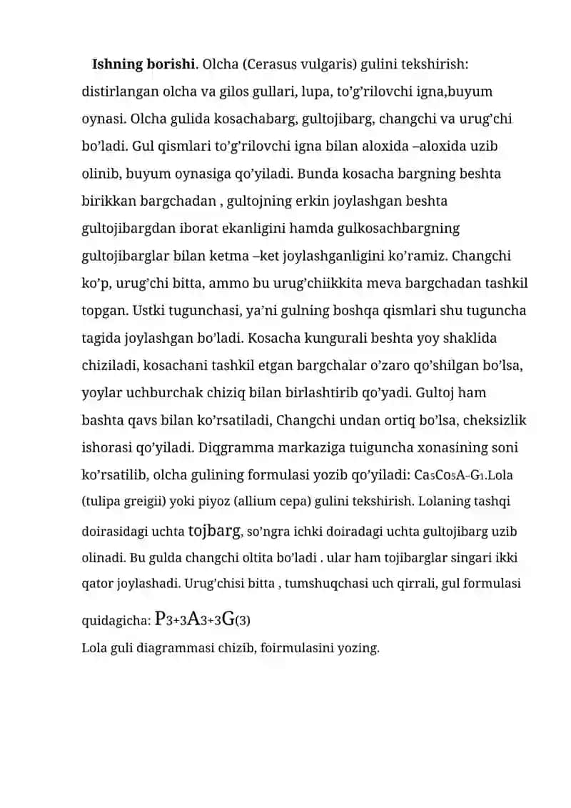 26-Amaliy mashg’ulotlar. Gul diagrammasi va formulalarni tuzish 2