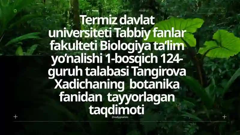 Tangirova Xadichaning botanika fanidan tayyorlagan taqdimoti 2