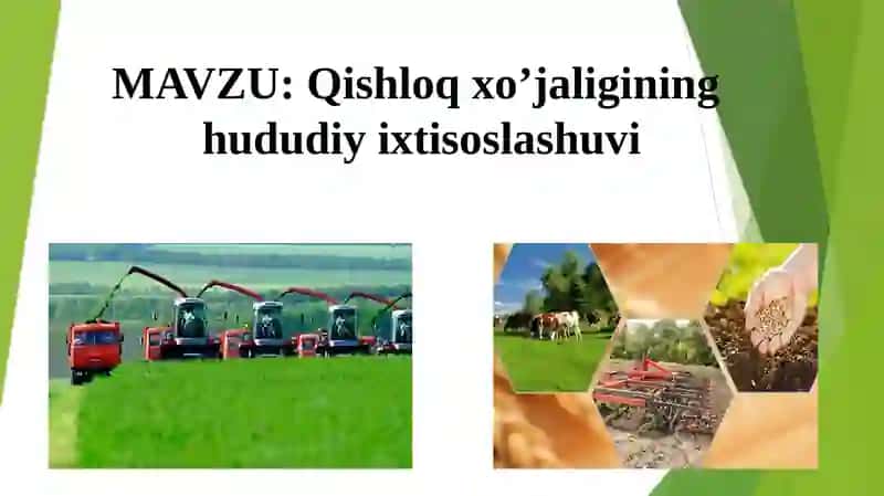 Qishloq xo’jaligining hududiy ixtisoslashuvi 2