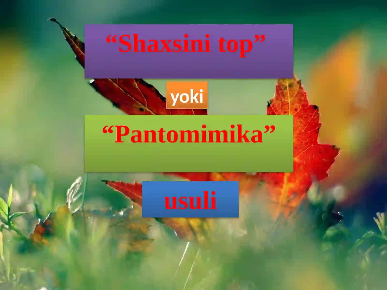 Shaxsini top 2