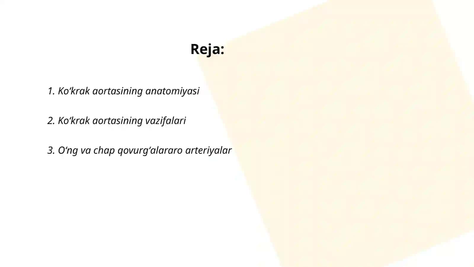 Koʻkrak aortasi anatomiyasi 2