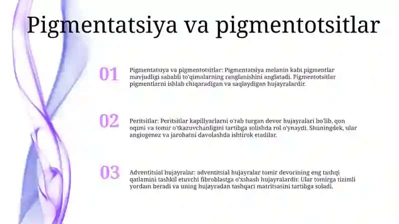 Pigmentatsitlar Lipatsitlar Peritsitlar Va Adventitsial Hujayralar 2
