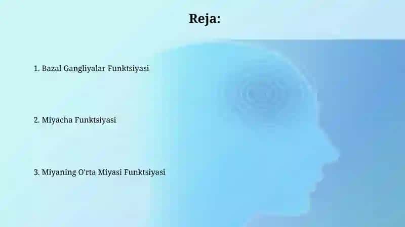 Bazal Gangliyalar va miyacha funktsiyasi 2