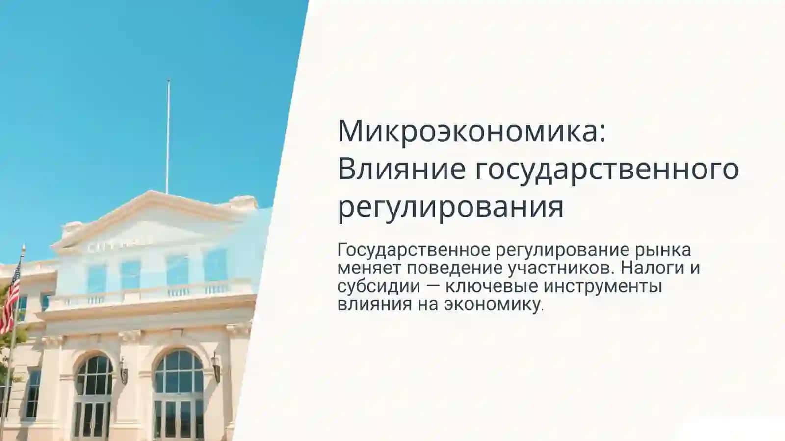 Влияние государственного регулирования 2