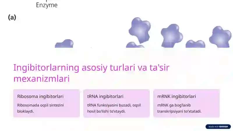 Oqsil biosintezi ingibitorlari 2