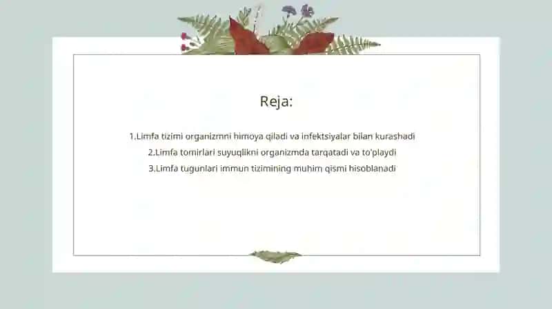 Limfa sistemasi 2