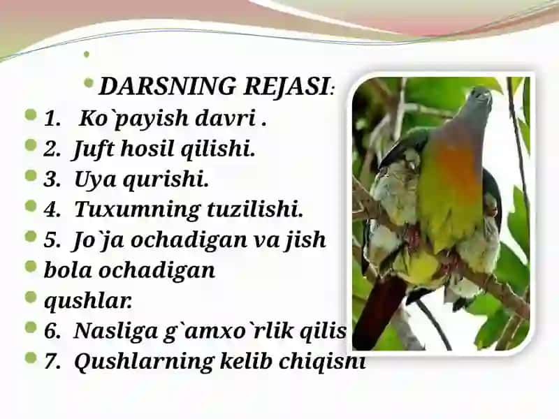 Qushlarning ko`payishi, rivojlanishi va kelib chiqishi 2