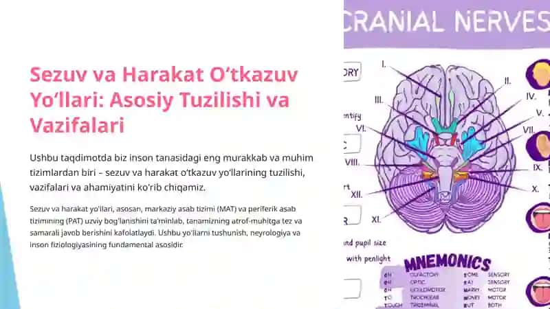 sezuv va harakatlanuvchi yollar 2