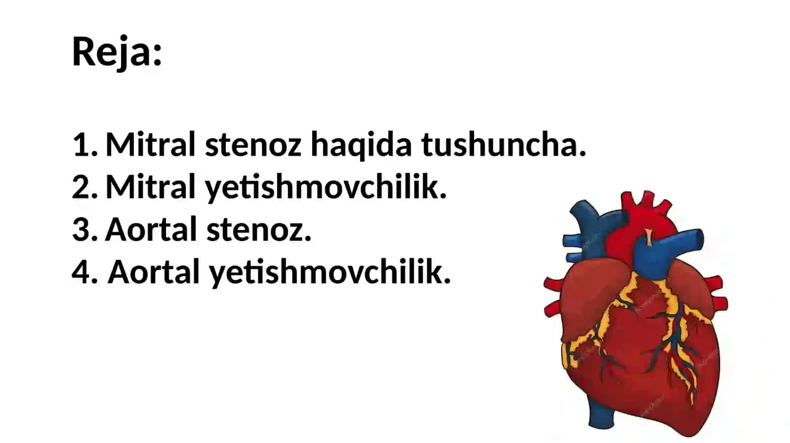Ortirilgan yurak nuqsonlari. Mitral va aortal nuqsonlar 2