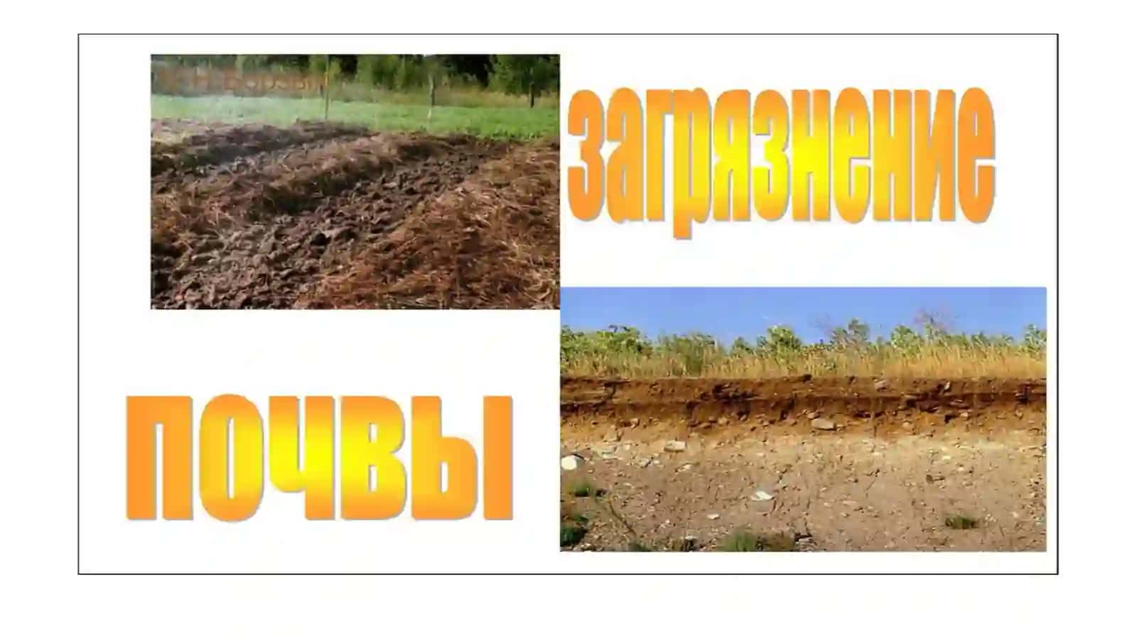 Загрязнение почвы и способы его предотвращения. Об экологической деятельности в районе Аральского моря 2