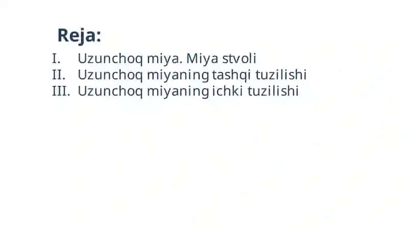 Uzunchoq miya taqdimot 2