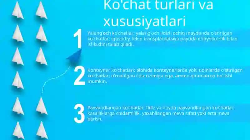 Ochiq Maydon Uchun KoʻChat Yetishtirish Texnologiyasi 2
