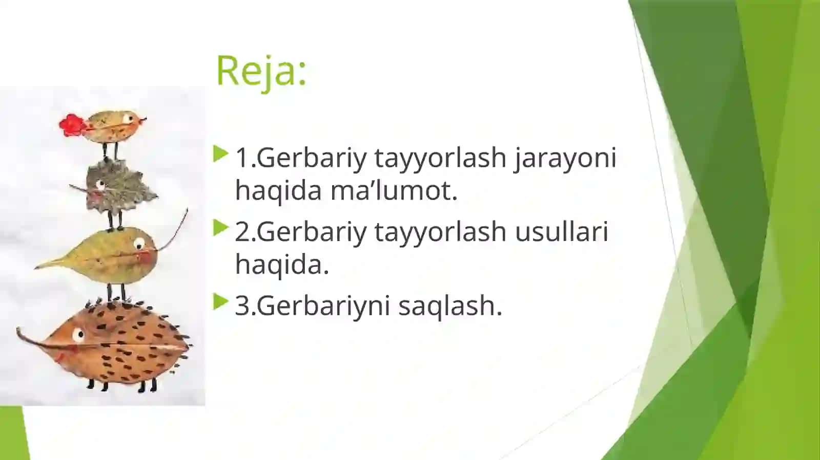 Gerbariy tayyorlash va tayyorlash usullari haqida malumot berish 2