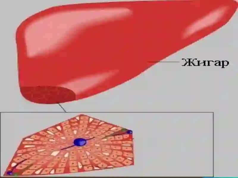 Биологик химия 2