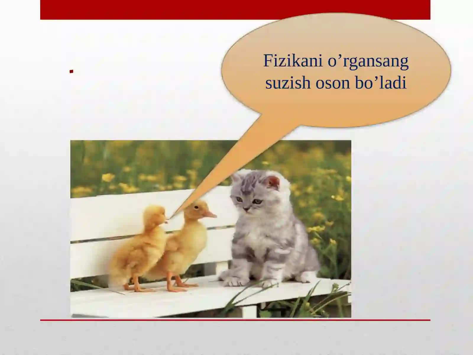 Fizikavaastronomiya darslarini tashkil etish 2