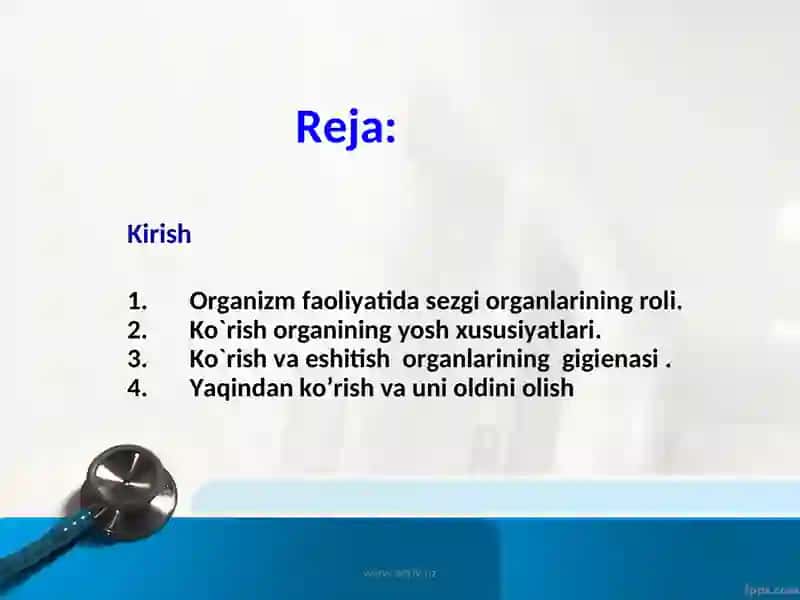 Sezgi organlari haqida tushuncha 2
