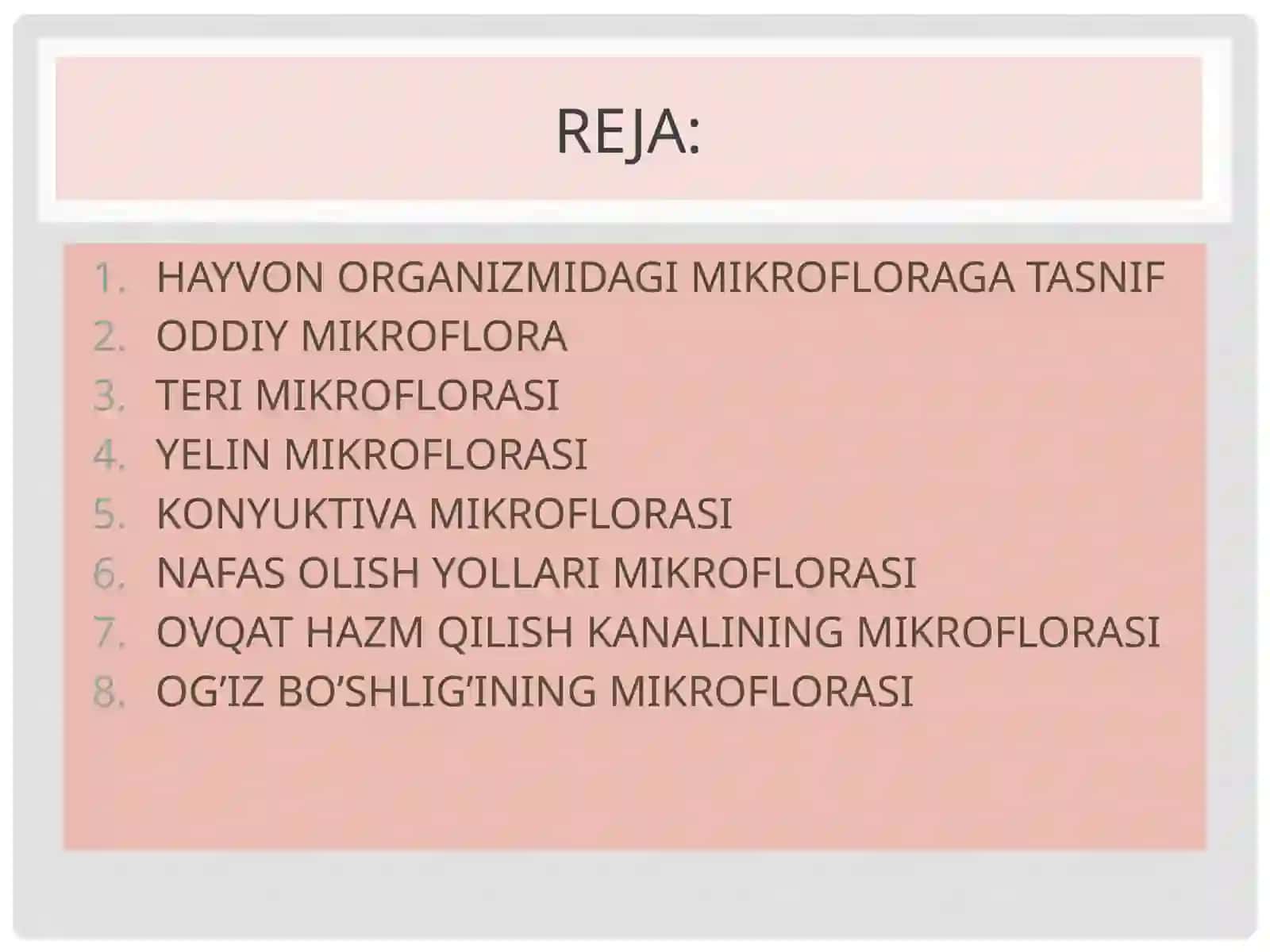 HAYVON ORGANIZMIDAGI MIKROFLORAGA TASNIF 2
