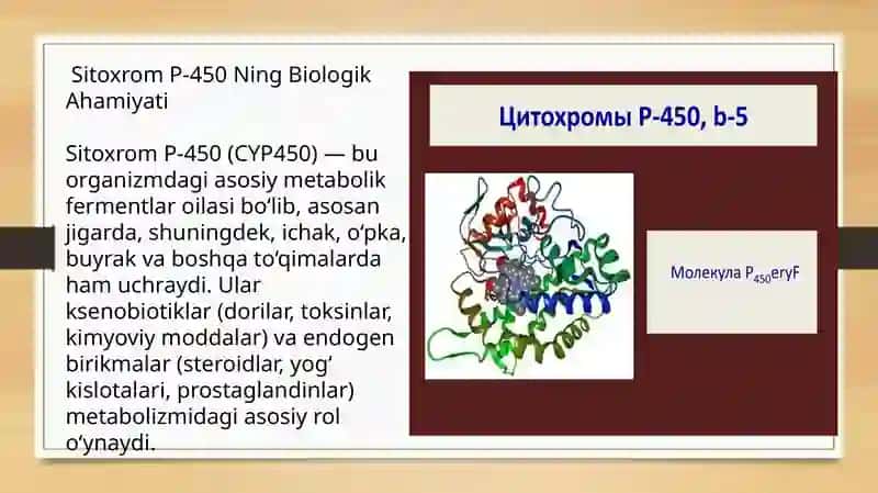 Sitoxrom R-450 Induktorlari va ingibitorlarining klinikada qo‘llanilishi 2