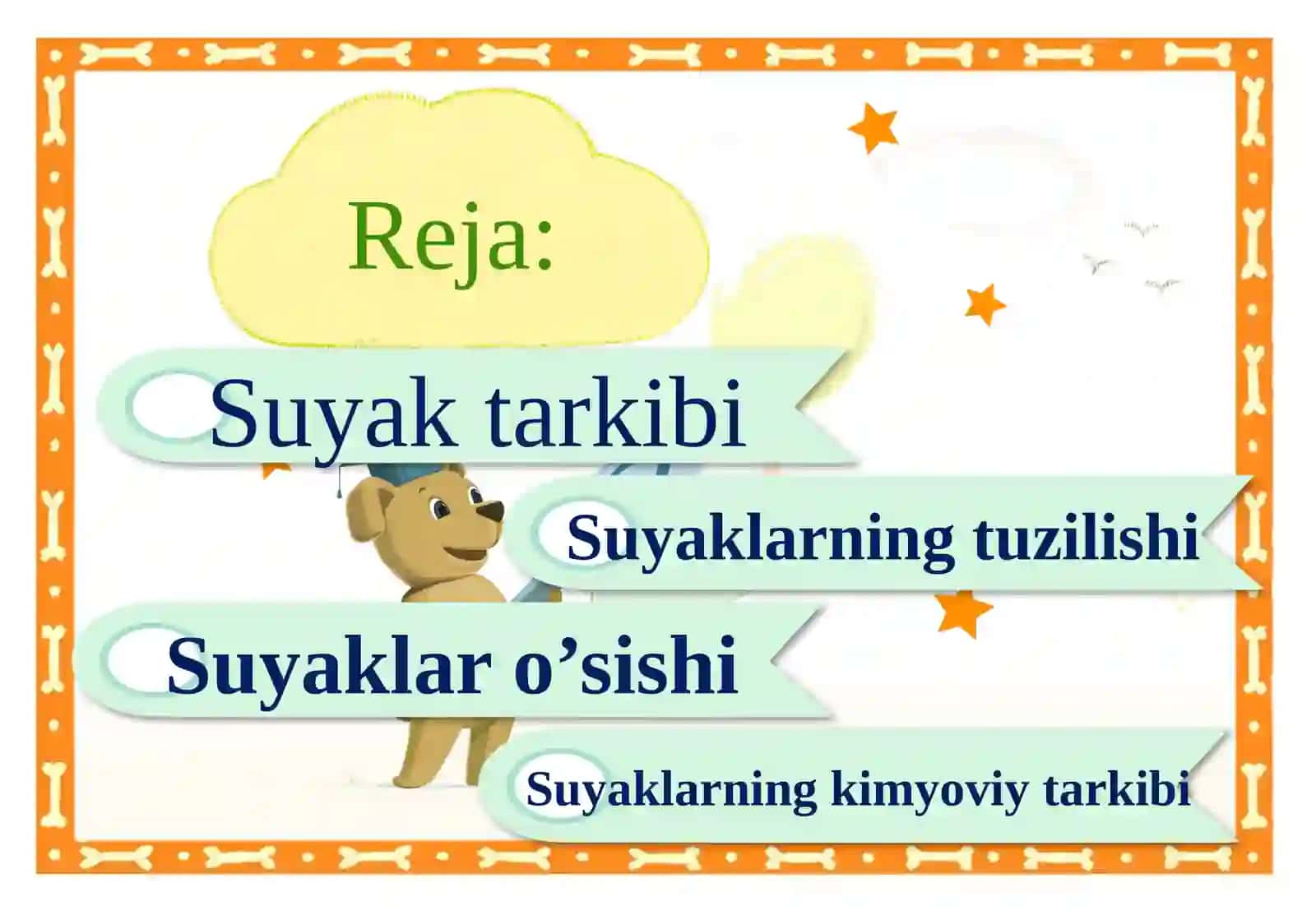 suyaklarning tuzilishi va oʻsishi 2