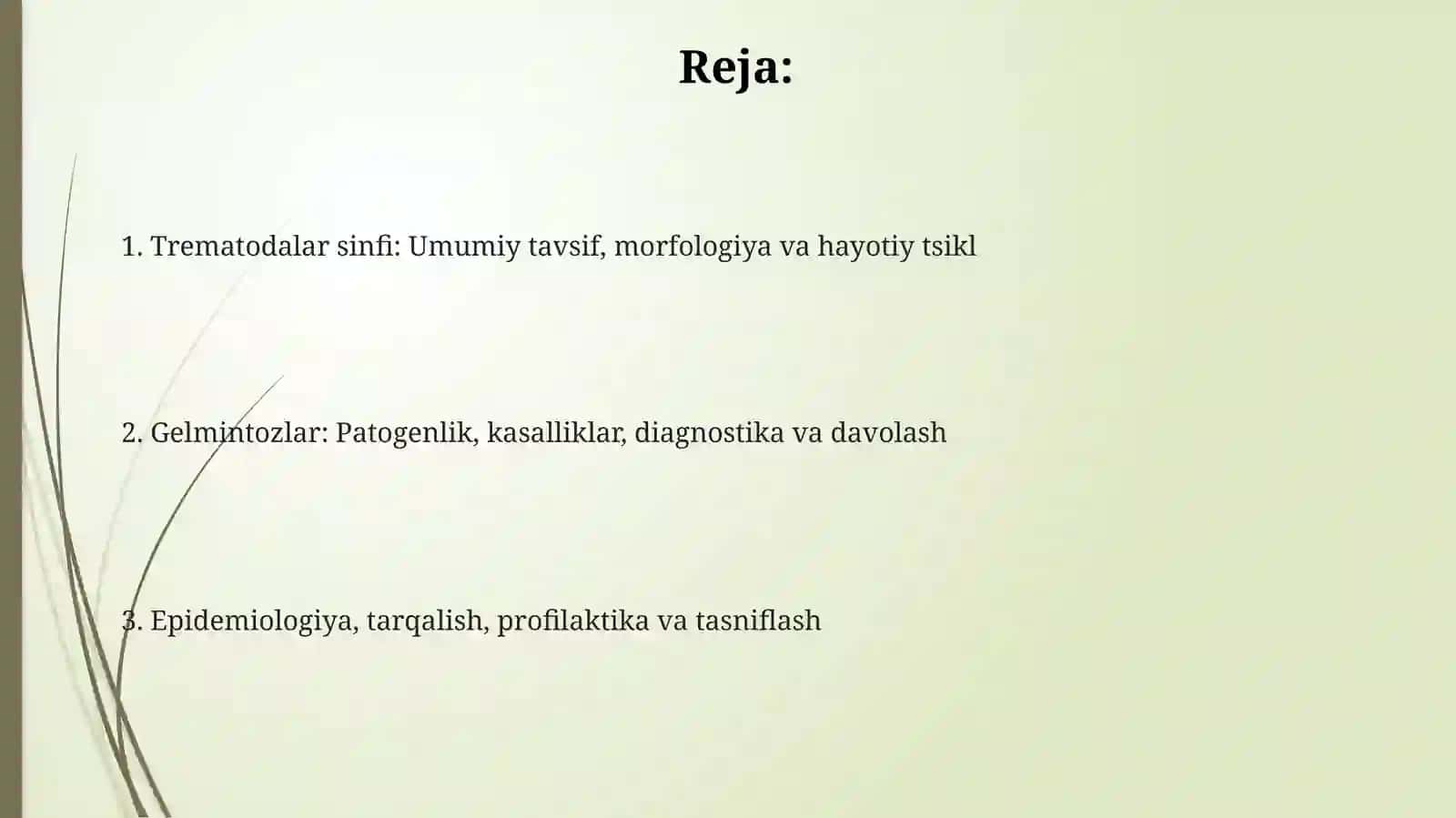 Trematodalar sinfi: Umumiy tavsif, morfologiya va hayotiy tsikl 2