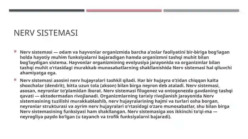 Nerv sistemasi 2