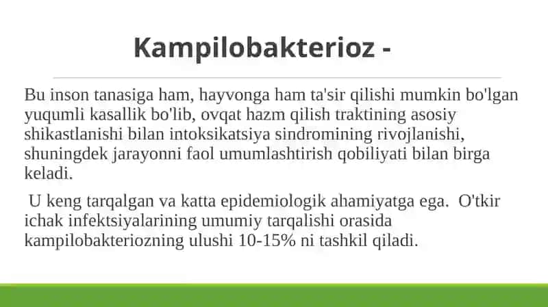 Kampilobakterioz 2