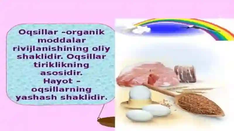SUNIY OQSIL OZIQA MODDALARINING ISHLAB CHIQARILISHI VA KELGUSIDAGI IMKONIYATLAR 2