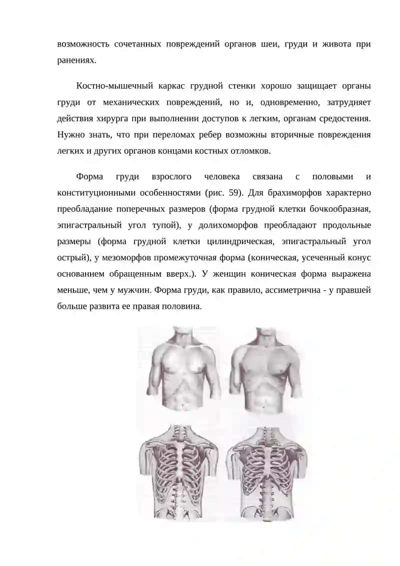 Клиническая анатомия груди. Техника хирургических операций на грудной стенке и органах грудной полости 2