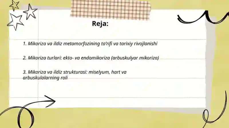 Mikoriza va ildiz metamorfozi 2