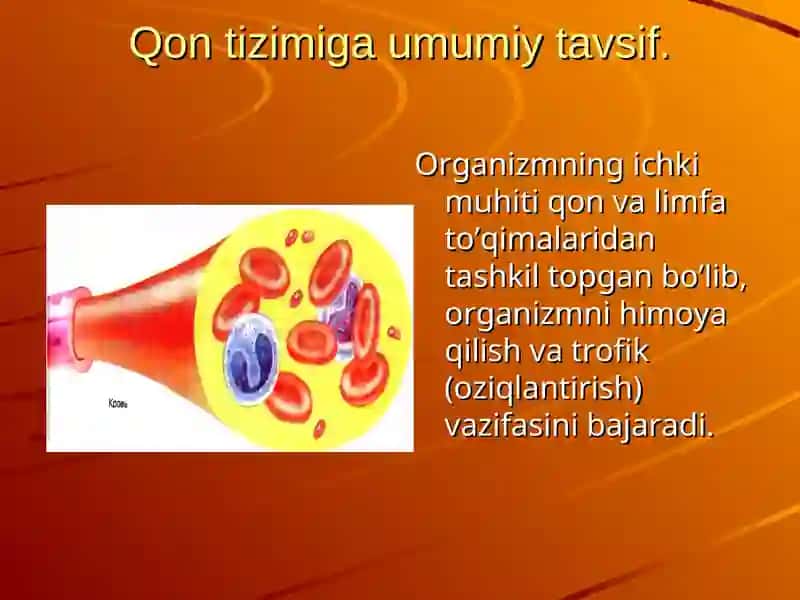 Qon ivish sxemasi 2