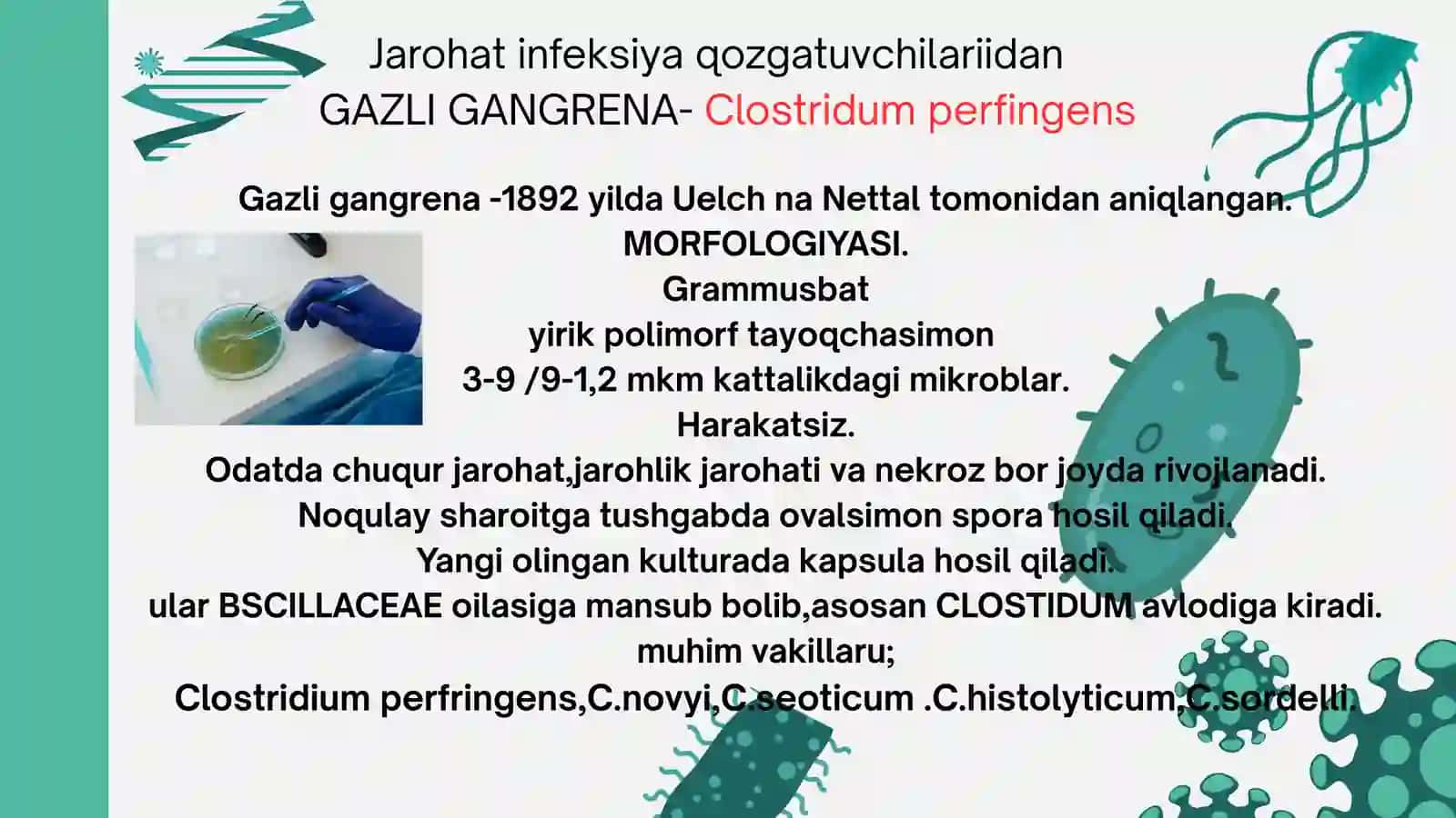 Gazli gangrena,qoqshol kasalliklari 2