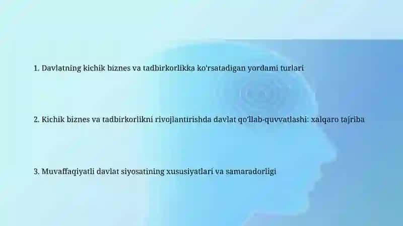 Kichik biznes va tadbirkorlikni rivojlantirishni davlat tomonidan qo'llab quvvatlanishining xorij tajribasi 2