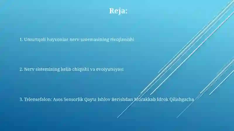 Umurtqali hayvonlarda telensefalonning rivojlanishi 2