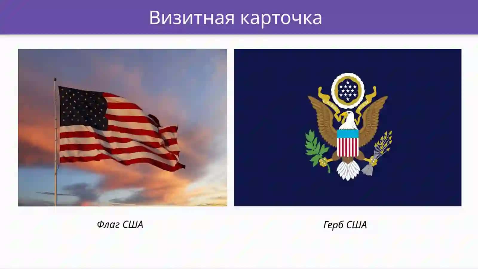 СоеданенниеШтаты Америки-вешкаястрана 2