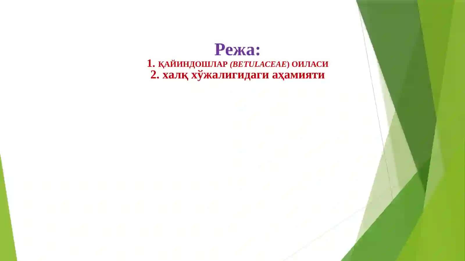 ҚАЙИНДОШЛАР(ВЕТULАСЕАЕ) ОИЛАСИдоривор ўсимликлари 2