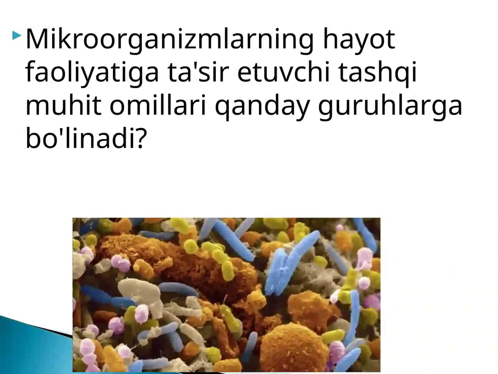 Mikroorganizmlarning hayot faoliyatiga ta'sir etuvchi tashqi muhit omillari 2