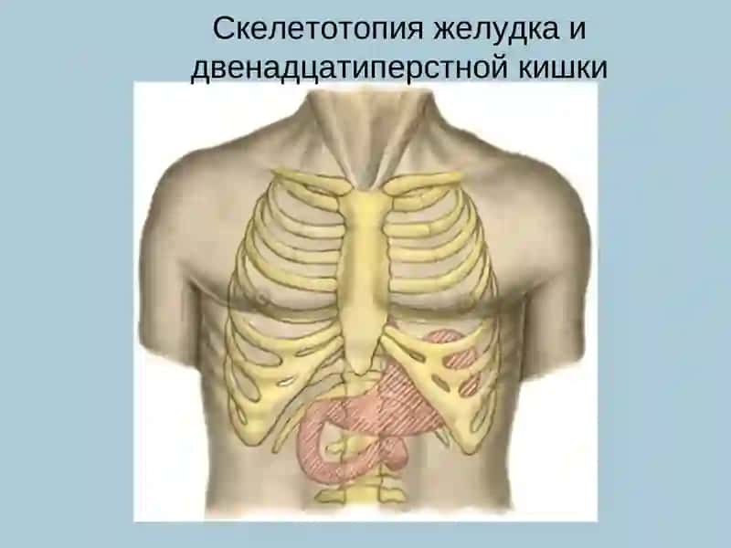 ЯЗВЕННАЯ БОЛЕЗНЬ ЖЕЛУДКА И ДВЕНАДЦАТИПЕРСТНОЙ КИШКИ 2